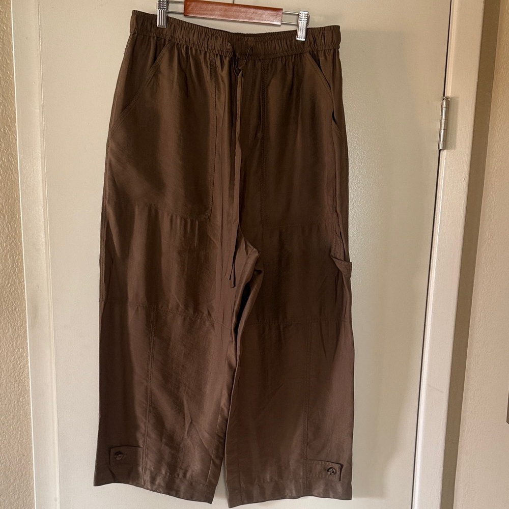 Zara Dark Brown Ankle-Length Pants